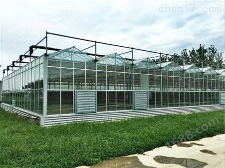 花卉玻璃温室生产