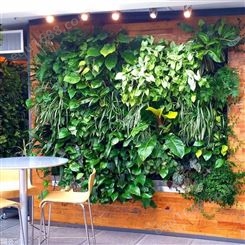 西安绿植墙 商场仿真植物墙 人造混合草坪 垂直绿化批发