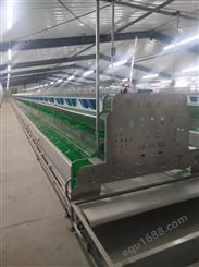 兔笼厂家 折叠式欧式兔子笼 新胜顺畜牧自有工厂 质量有保障