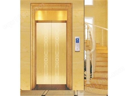 东奥私人定制别墅家用小型电梯 载人升降机 2~6层楼