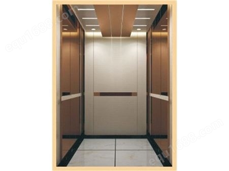 东奥私人定制别墅家用小型电梯 载人升降机 2~6层楼