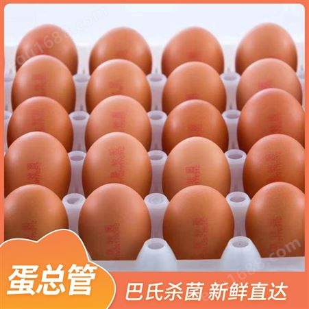 本地保洁鸡蛋 给酒店西餐厅超市 蛋总管 安全新鲜保障