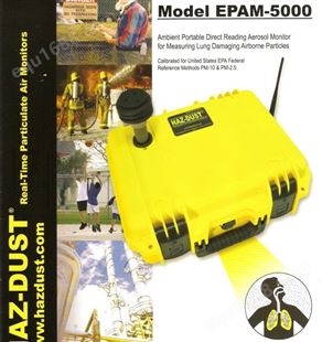 环境颗粒空气监测仪EPAM-5000