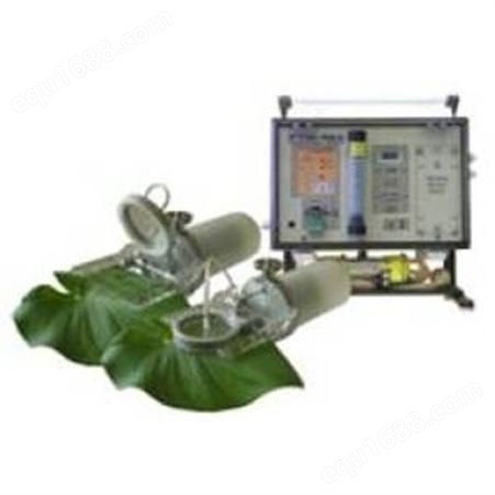 植物生理生态监测系统 以色列BF-Agritech植物生理生态监测系统