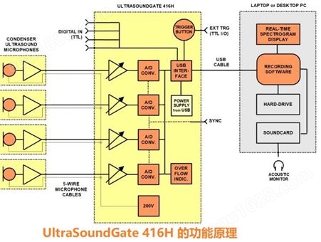 动物声音超声波录制系统 UltraSoundGate 416H