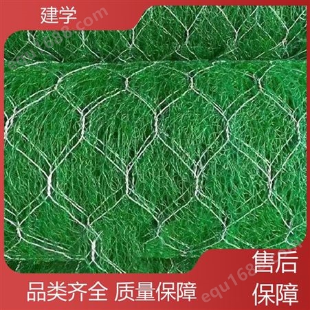 建学新材料 植草固土 EM3三维植被网 大量吸收热量 分布均匀