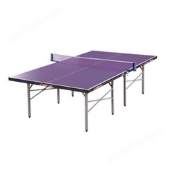 惠州惠城户外室内标准乒乓球桌专卖店 成人学生乒乓球台体育器材
