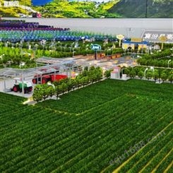 鑫艺城 智慧农业模型沙盘 景观农业园林模型定制