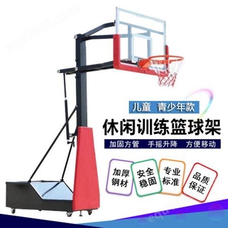 成都市儿童篮球架 可移动升降儿童青少年篮球架