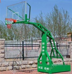 济南市移动式箱式篮球架  电动液压篮球架 龙泰体育厂家 欢迎咨询