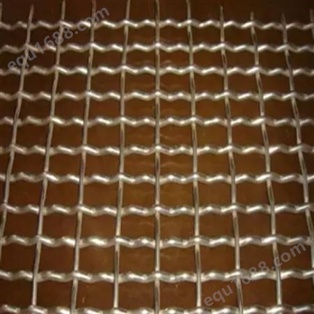 振驰 不锈钢方孔网 金属丝编织网 养殖场用网2.5*2.5cm