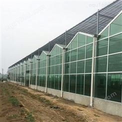 专业生产 简易连栋智能温室 外遮阳连栋玻璃温室 以利农业